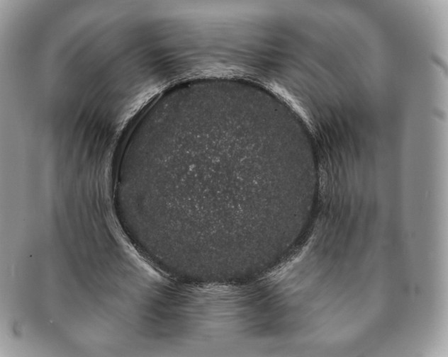 X0000091190581200708161553
