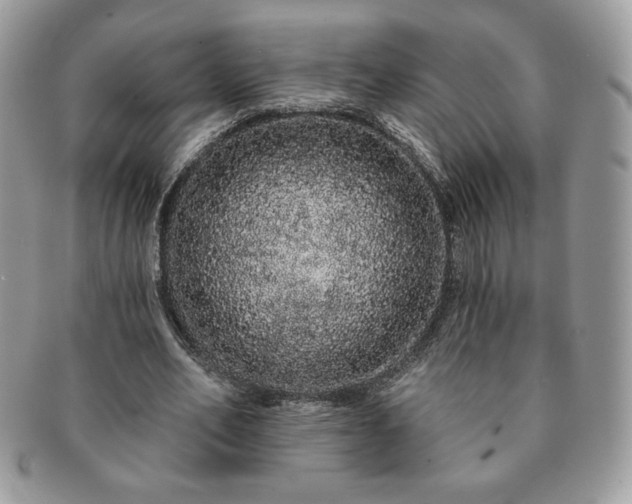 X0000091190582200708161553