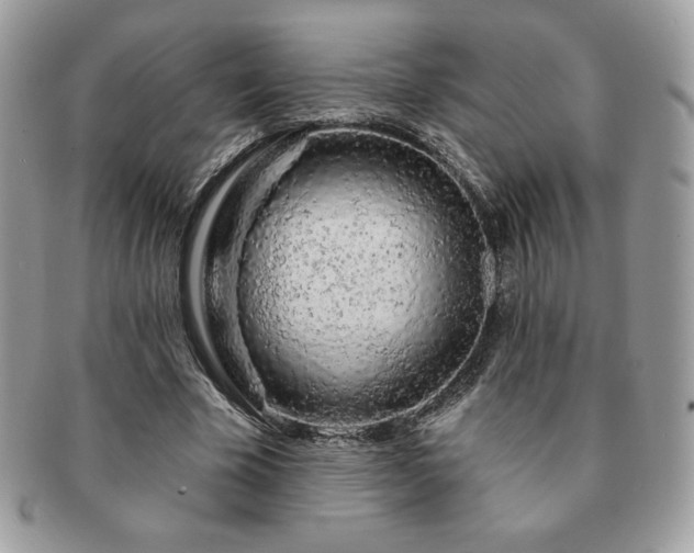 X0000091190585200708161553