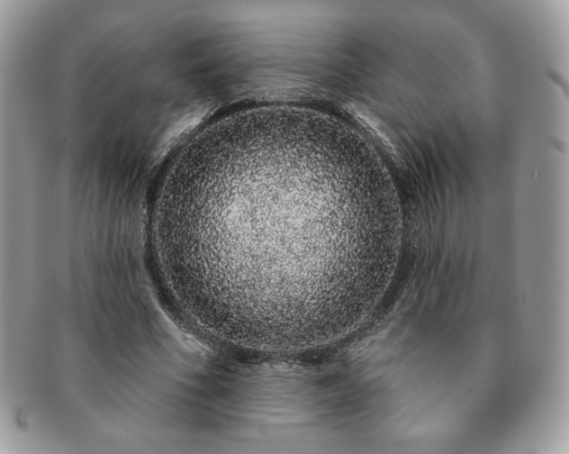 X0000091190586200708161553