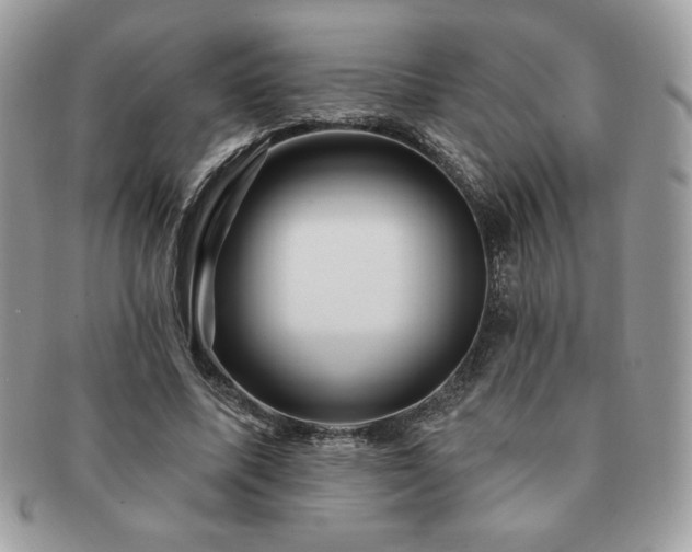 X0000091190587200708161553