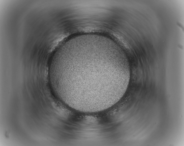 X0000091190592200708161552
