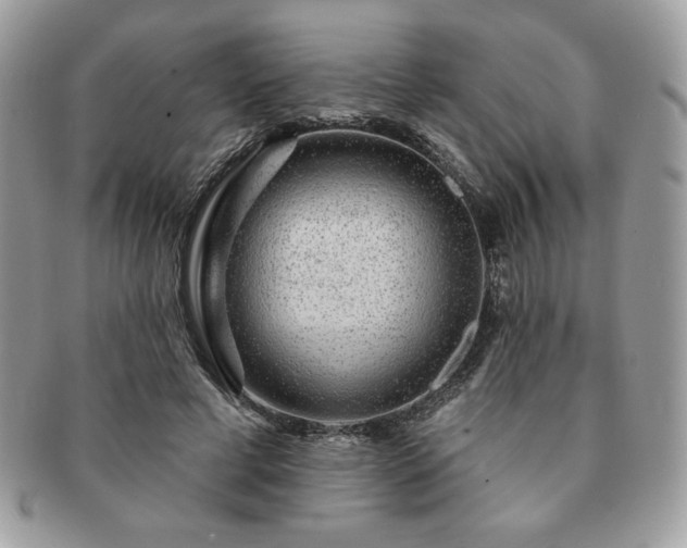 X0000091190593200708161552