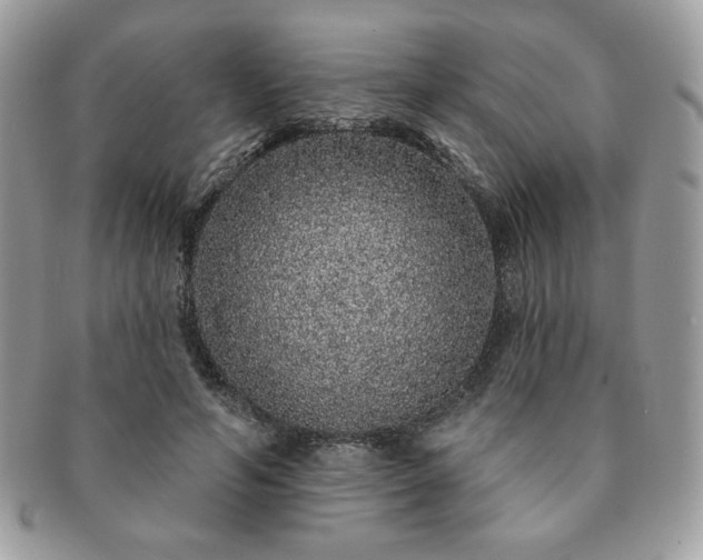 X0000091190594200708161552