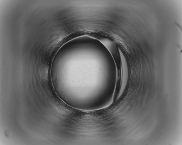 X0000091190596200708161552