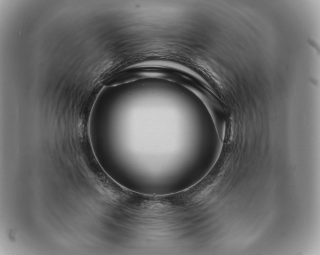 X0000091190597200708161552