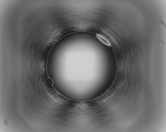 X0000091190599200708161552