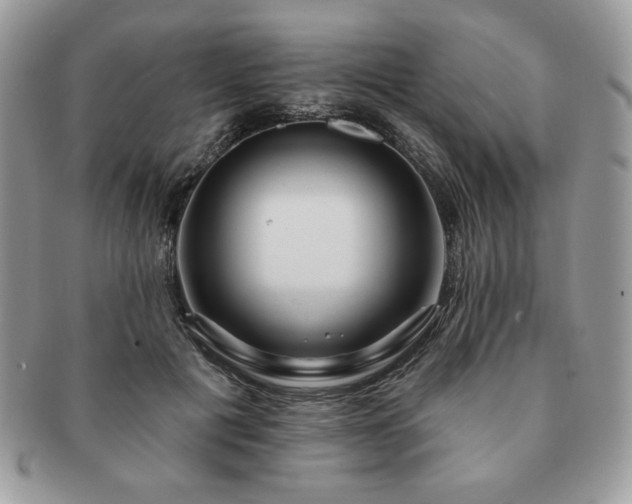 X0000091190601200708161552