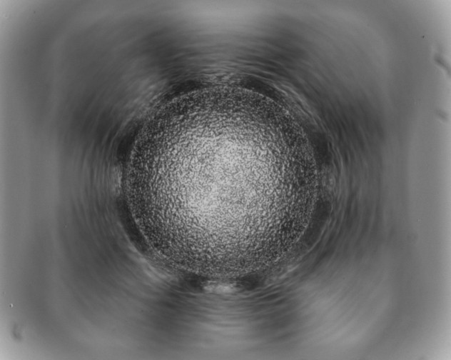 X0000091190602200708161552