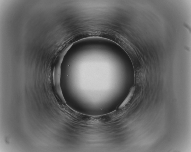 X0000091190604200708161552