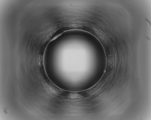 X0000091190605200708161552