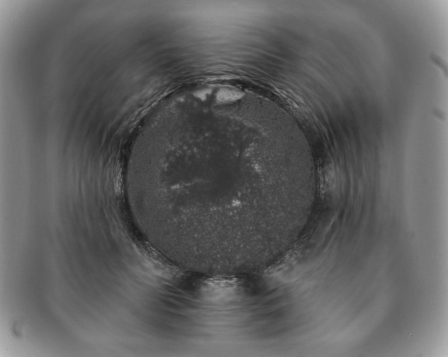 X0000091190606200708161552