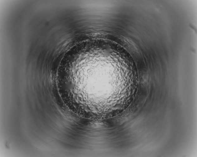 X0000091190607200708161552