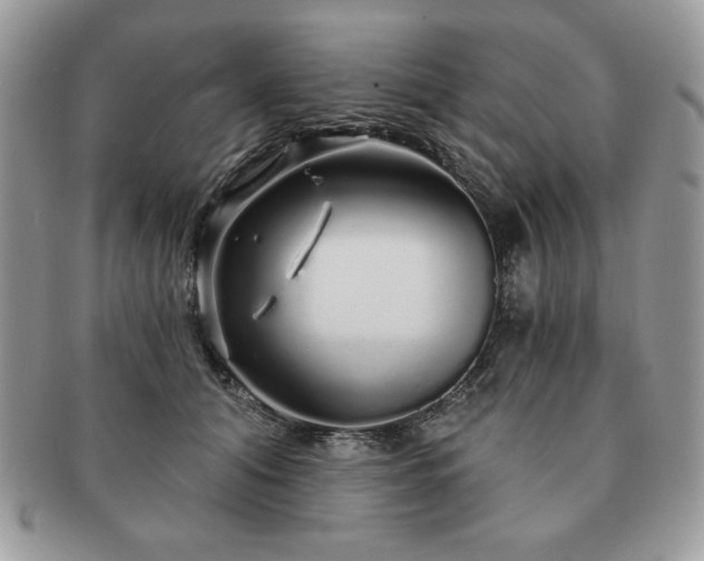 X0000091190608200708161552