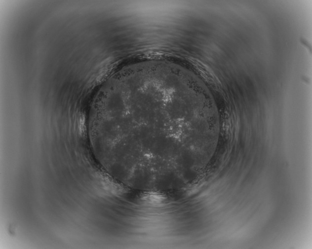 X0000091190610200708161552