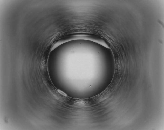 X0000091190611200708161552