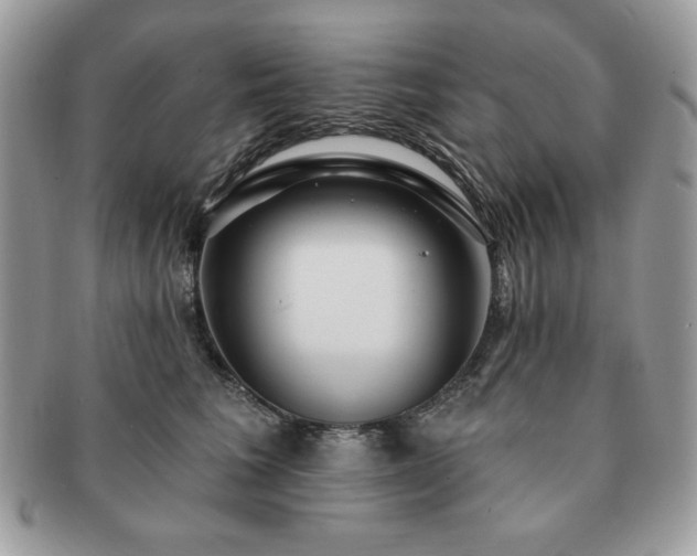 X0000091190613200708161552
