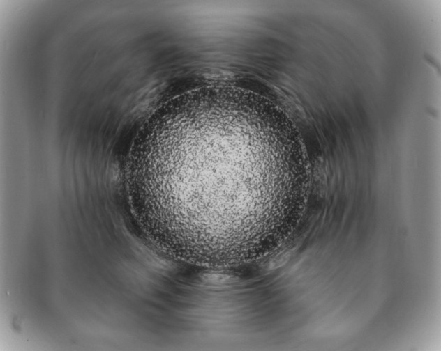 X0000091190614200708161552