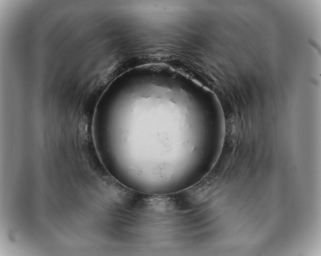 X0000091190615200708161552