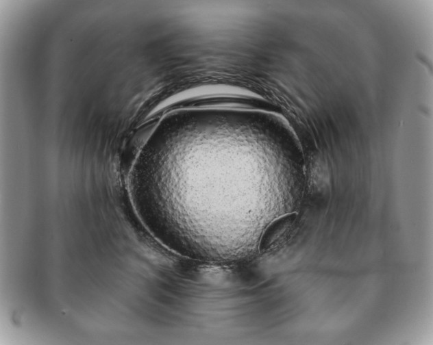 X0000091190616200708161552