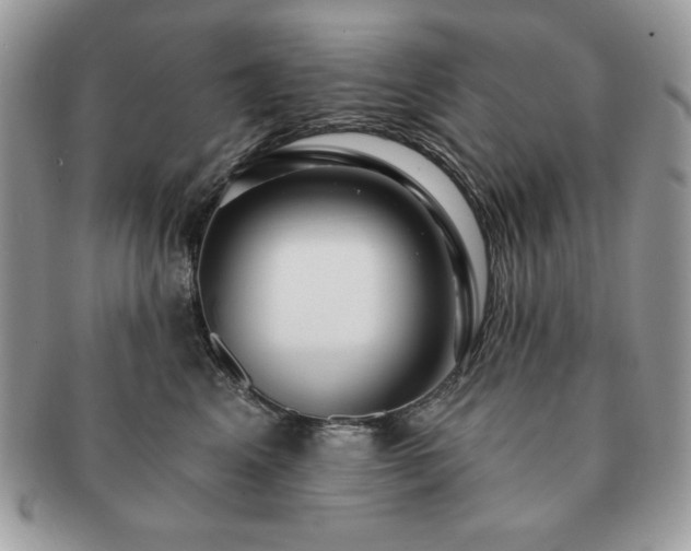 X0000091190617200708161552