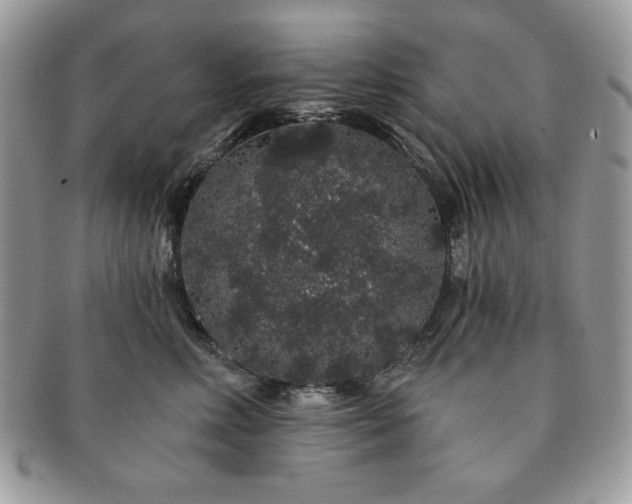 X0000091190618200708161552