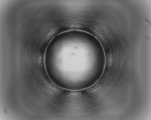 X0000091190619200708161552