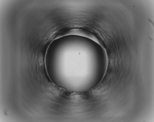 X0000091190620200708161552
