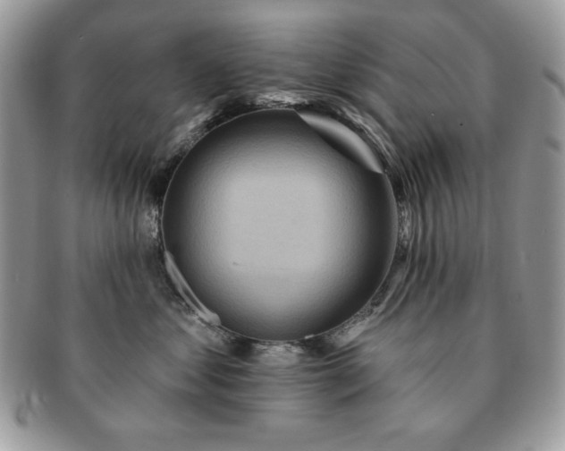 X0000091190621200708161552