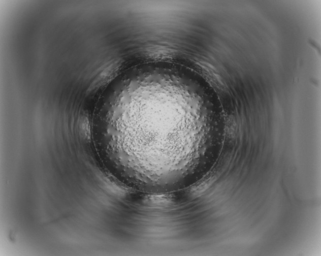 X0000091190622200708161552