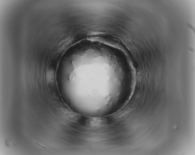 X0000091190623200708161552