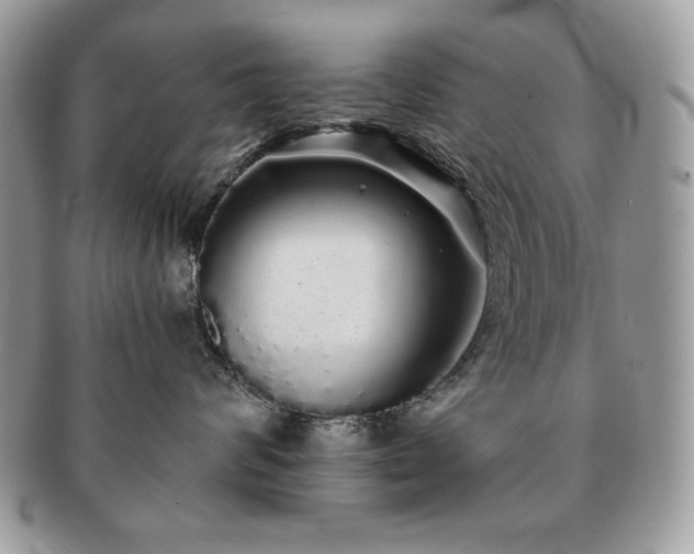 X0000091190624200708161552