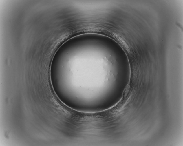 X0000091190625200708161551