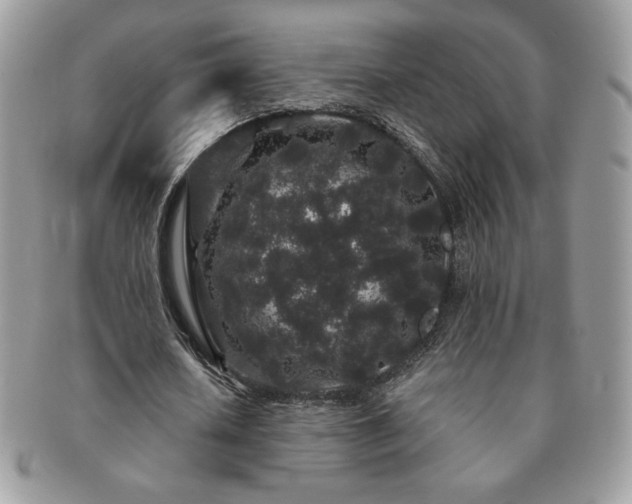 X0000091190626200708161551