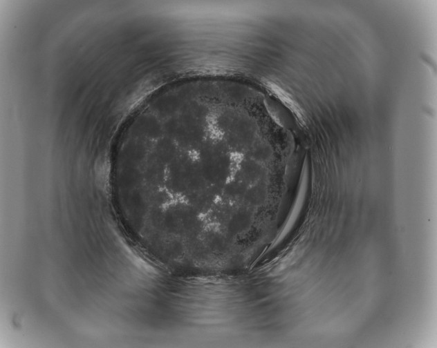 X0000091190627200708161551
