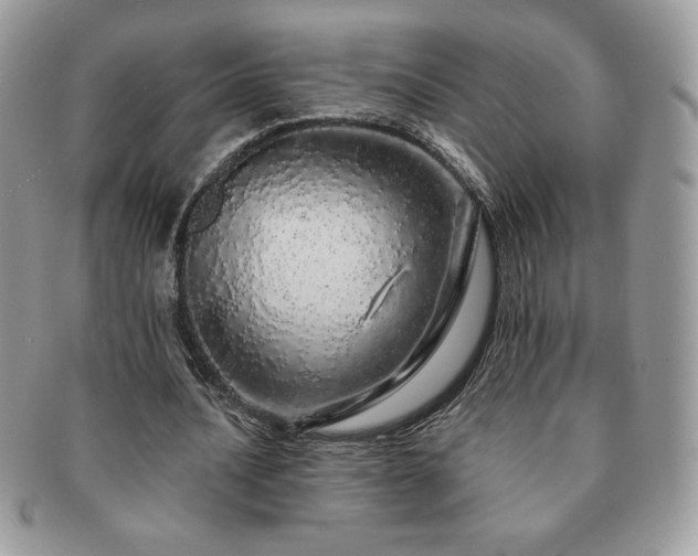 X0000091190628200708161551