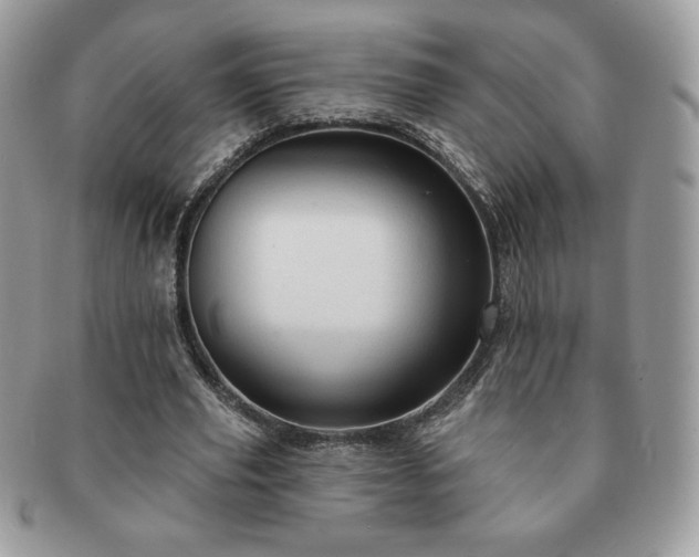 X0000091190629200708161551