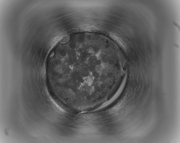 X0000091190630200708161551