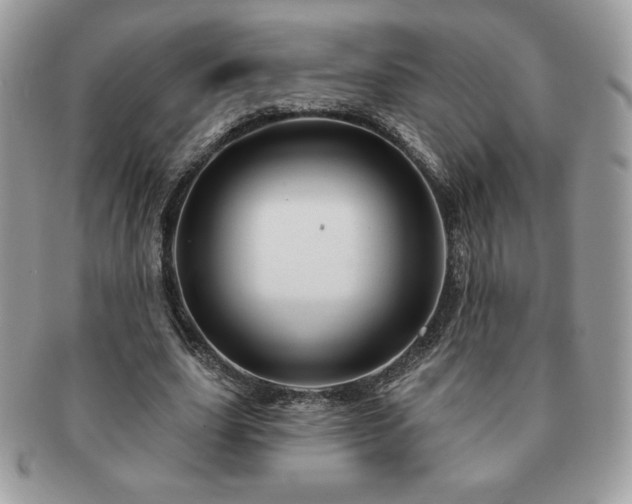 X0000091190631200708161551