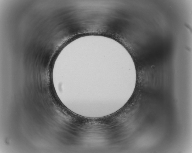 X0000091190632200708161551
