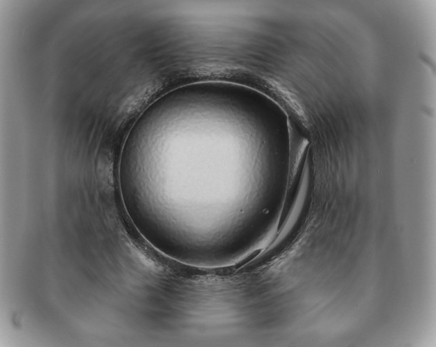 X0000091190633200708161551