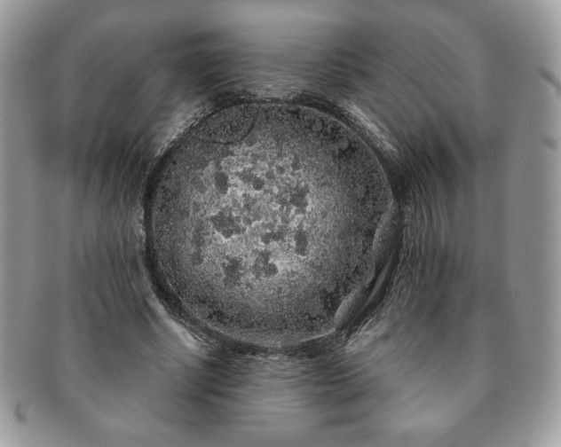 X0000091190634200708161551