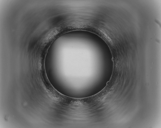 X0000091190635200708161551