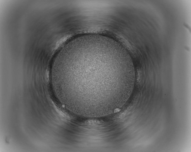 X0000091190636200708161551