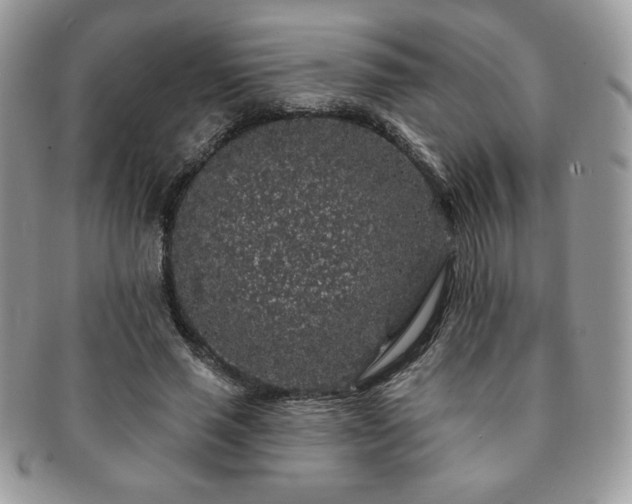 X0000091190637200708161552