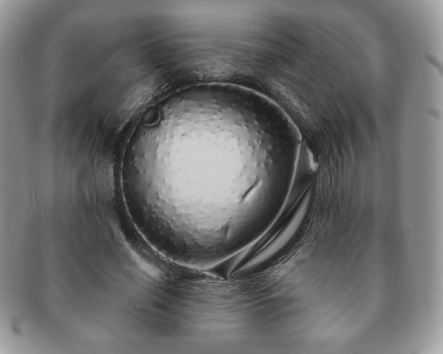 X0000091190638200708161552