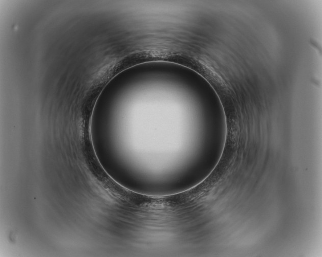 X0000091190639200708161552