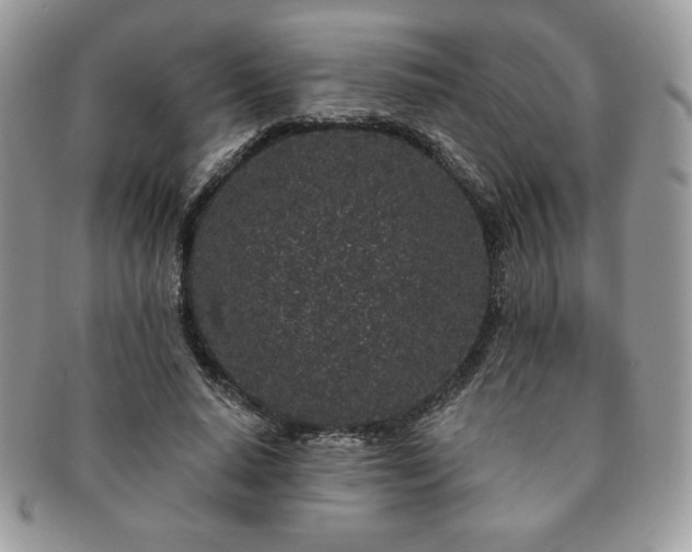 X0000091190640200708161552