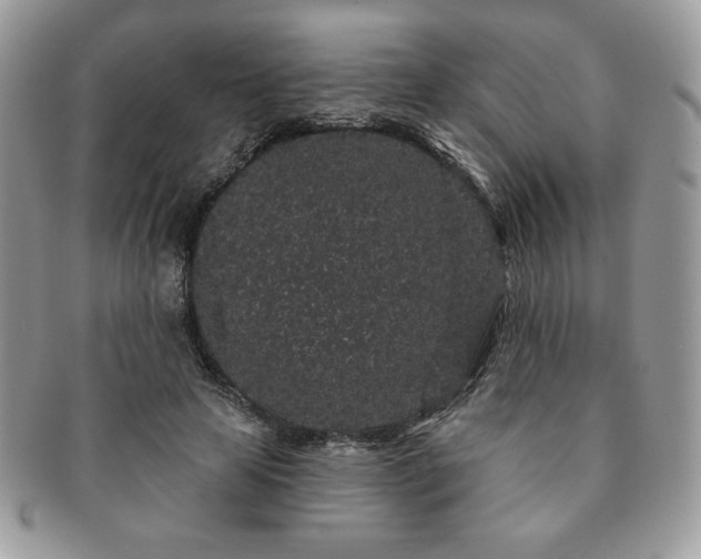 X0000091190641200708161552