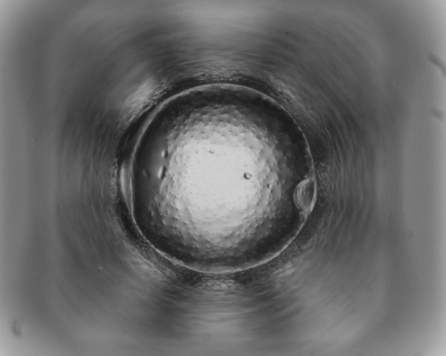 X0000091190642200708161552